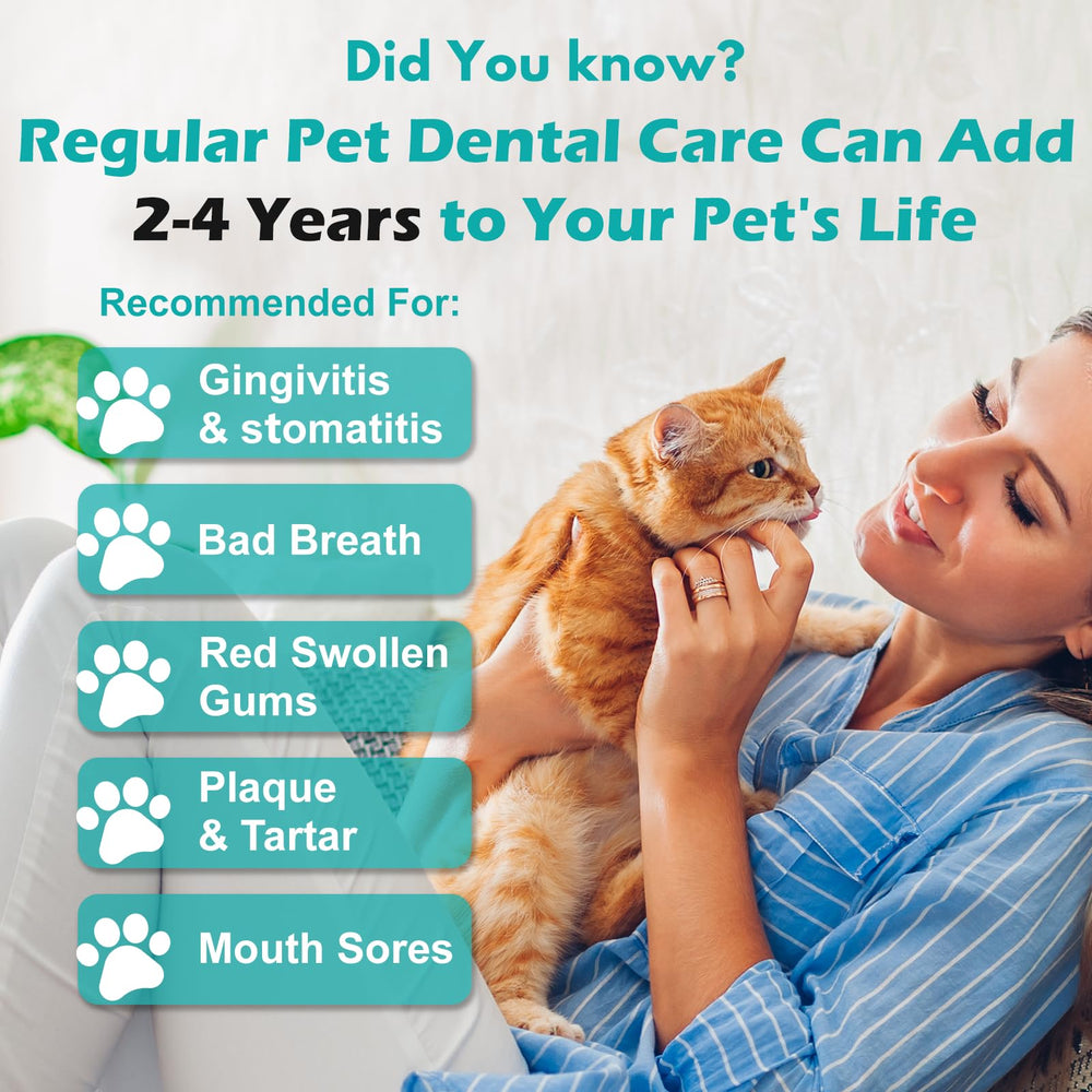diytoolsman cat dental health closeup shows ultra-small tablets for gentle feeding