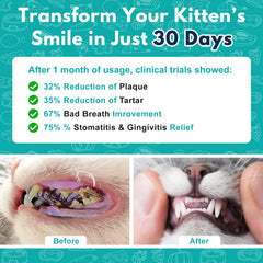 diytoolsman cat dental tablets pack highlights economical preventive care