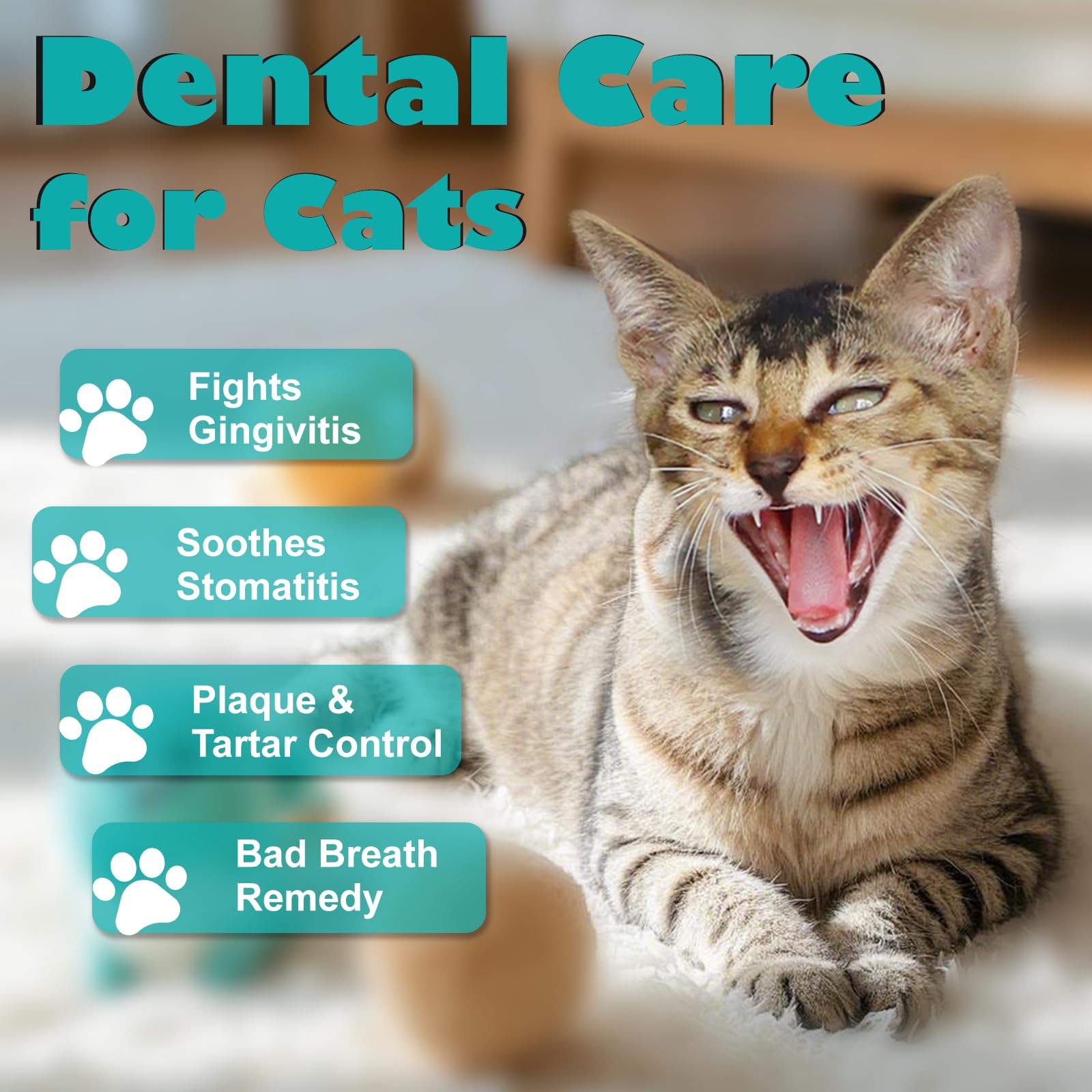 diytoolsman cat dental tablets pour shows easy dosing for steady tartar control