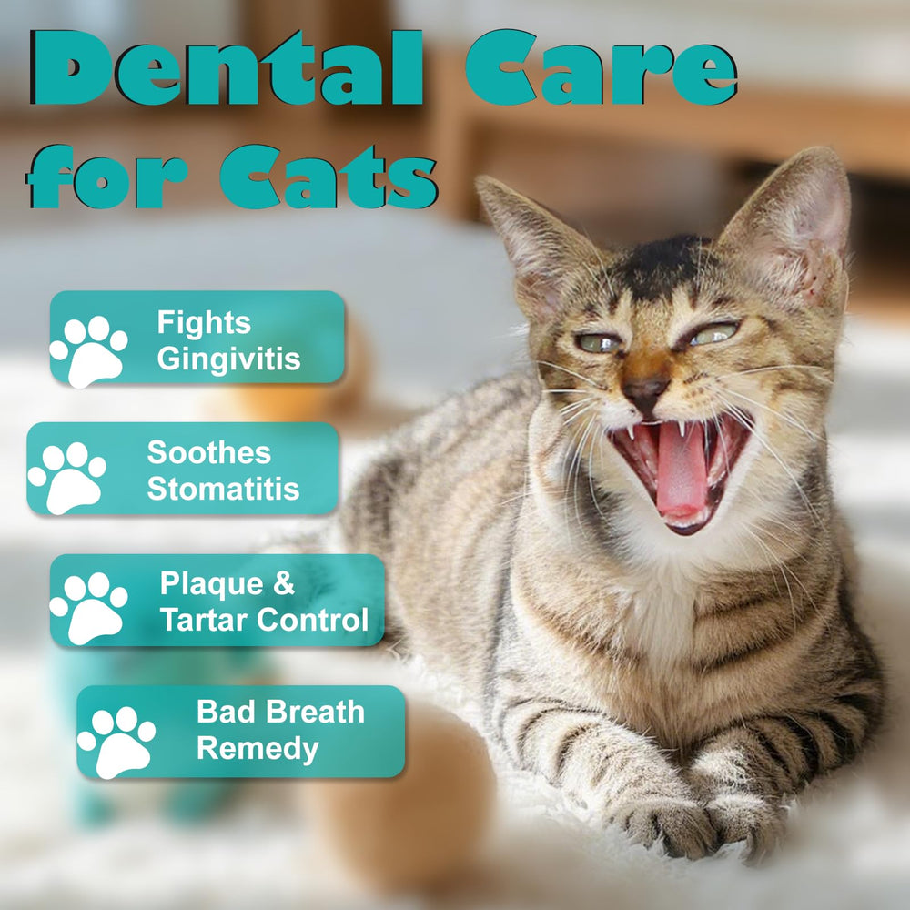 diytoolsman cat dental tablets pour shows easy dosing for steady tartar control