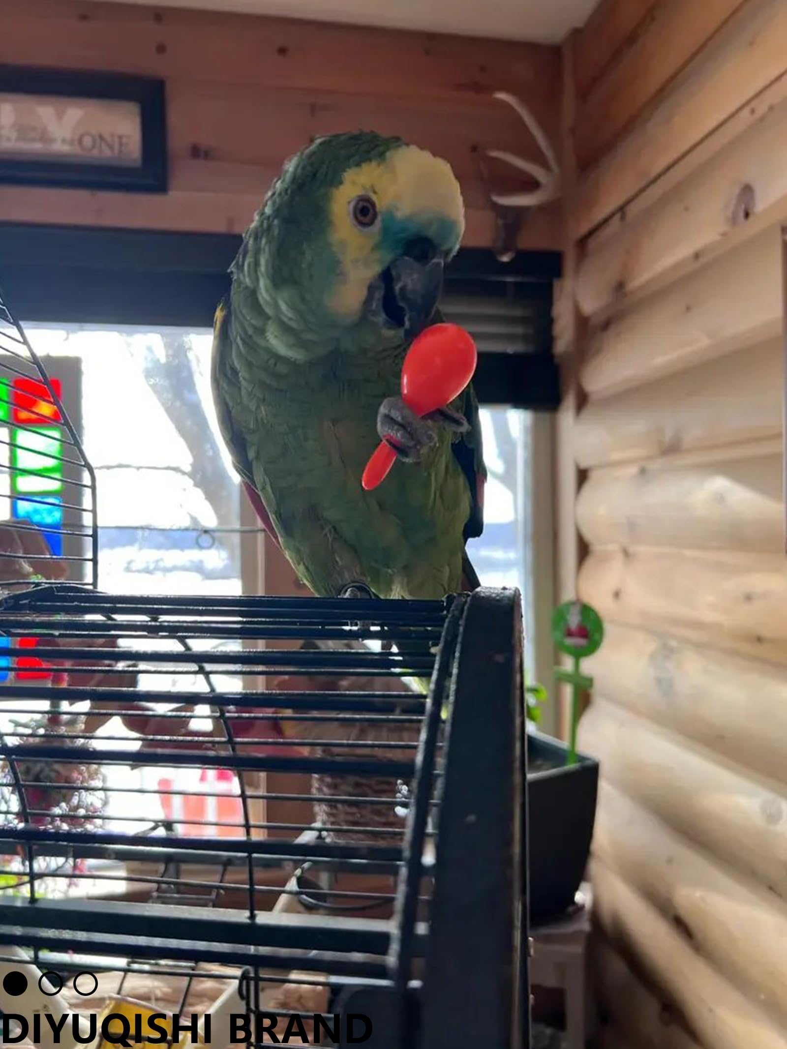 DIYUQISHI bird-bell-ball-colorful increases attraction and mental stimulation during cage time.