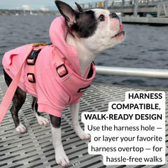 DJANGO dog hoodie back pocket detail adds function during walks