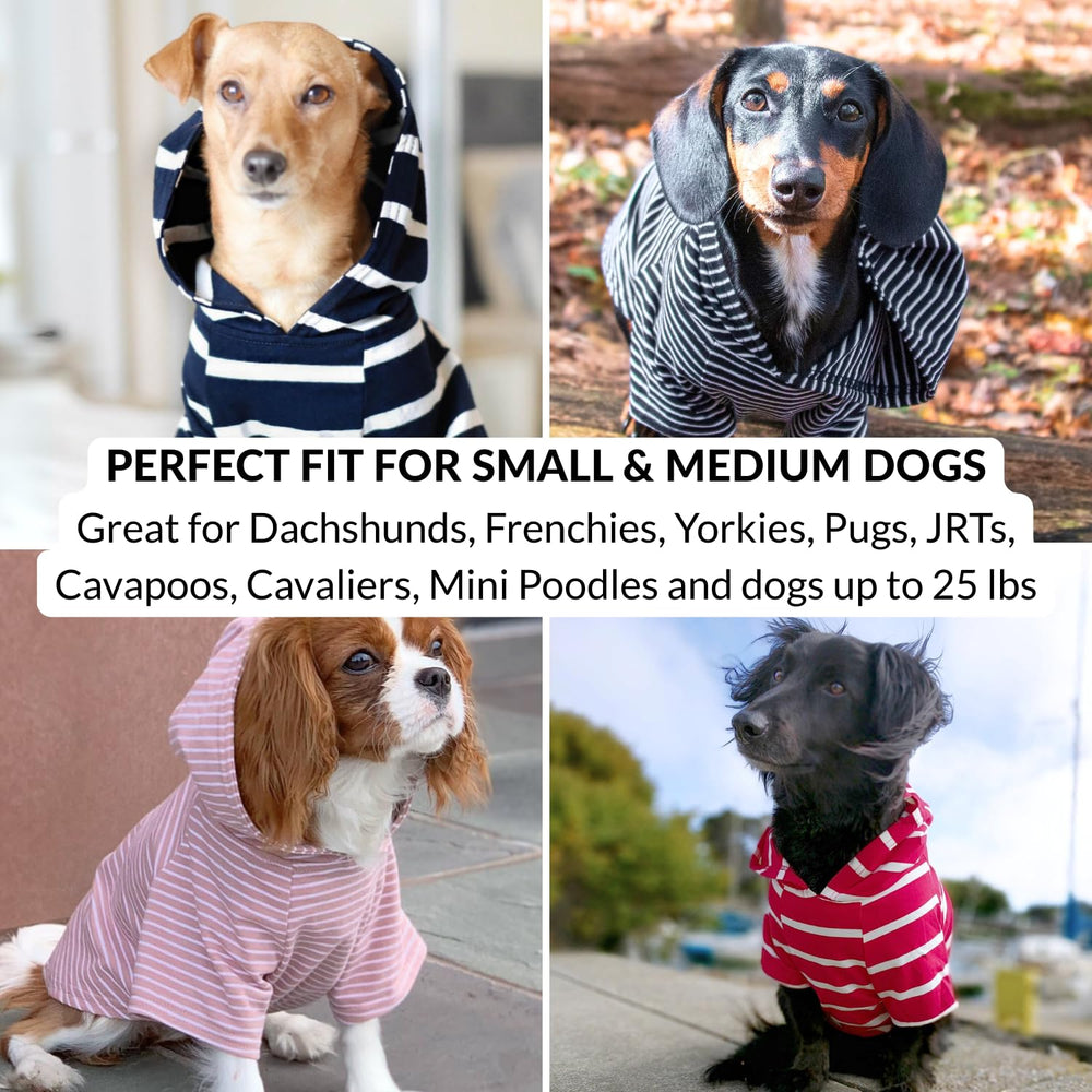 DJANGO Dog Hoodie dachshund wearing shows cozy fit for dachshunds.