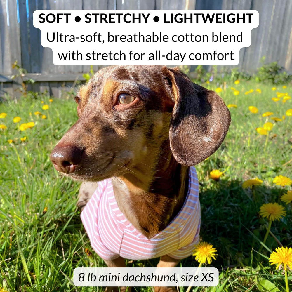 DJANGO dog hoodie with harness hole for quick leash access.
