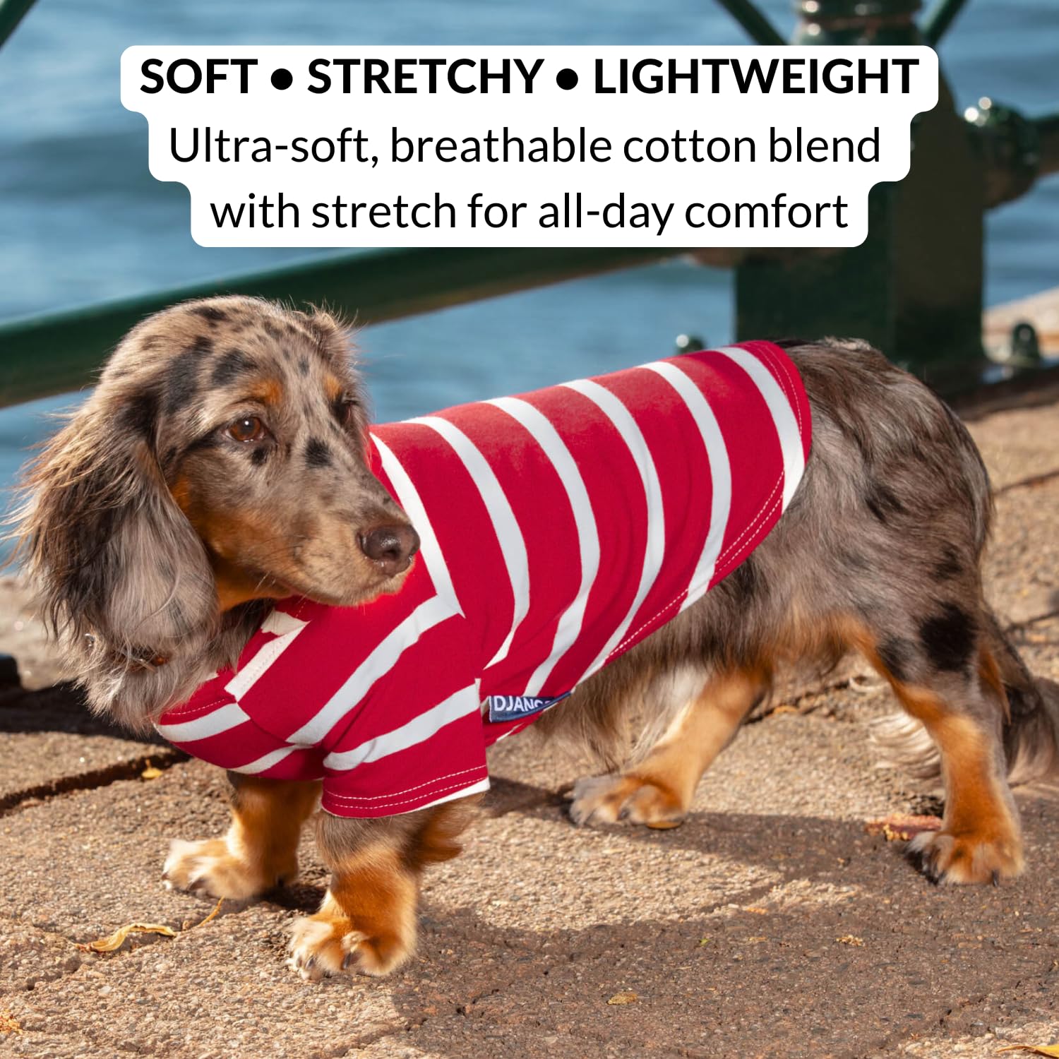 DJANGO Dog Hoodie harness hole closeup highlights easy leash access during walks.