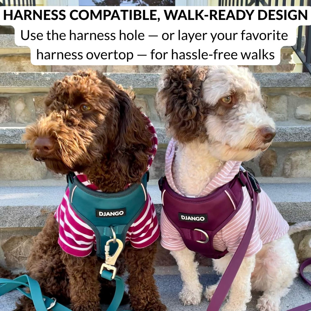 DJANGO dog hoodie lightweight cozy style for indoor layering.