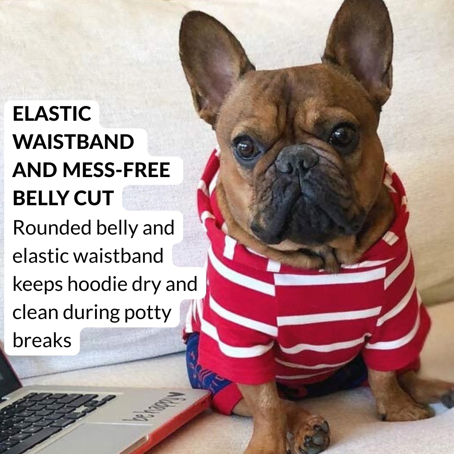 DJANGO Dog Hoodie lightweight fabric supports comfy indoor wear and crisp outdoor outings.