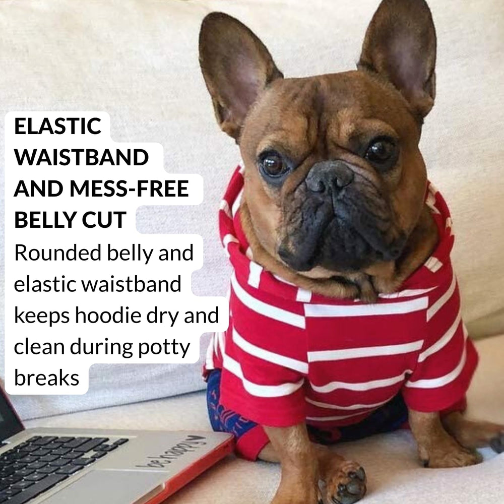 DJANGO Dog Hoodie lightweight fabric supports comfy indoor wear and crisp outdoor outings.