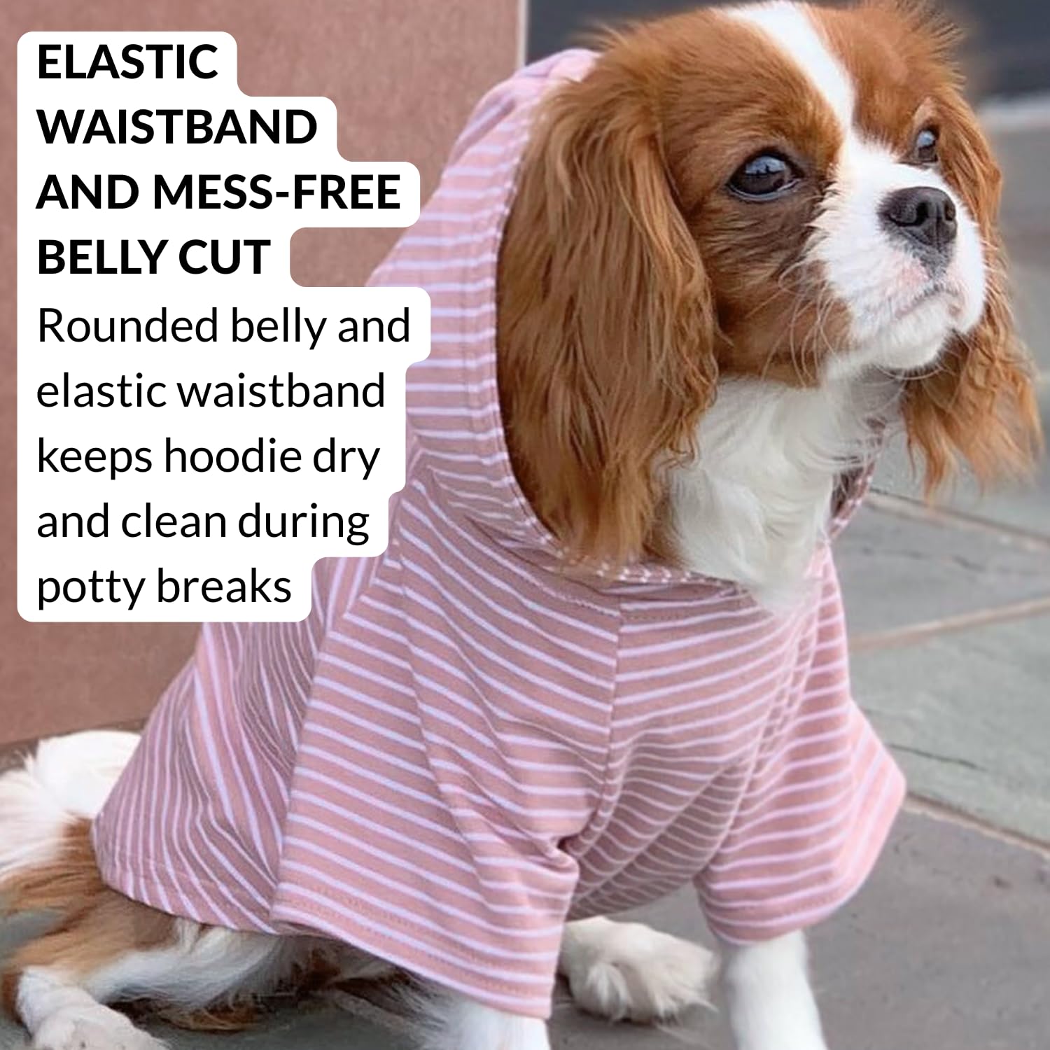 DJANGO dog hoodie lined hood adds warmth for chilly walks.