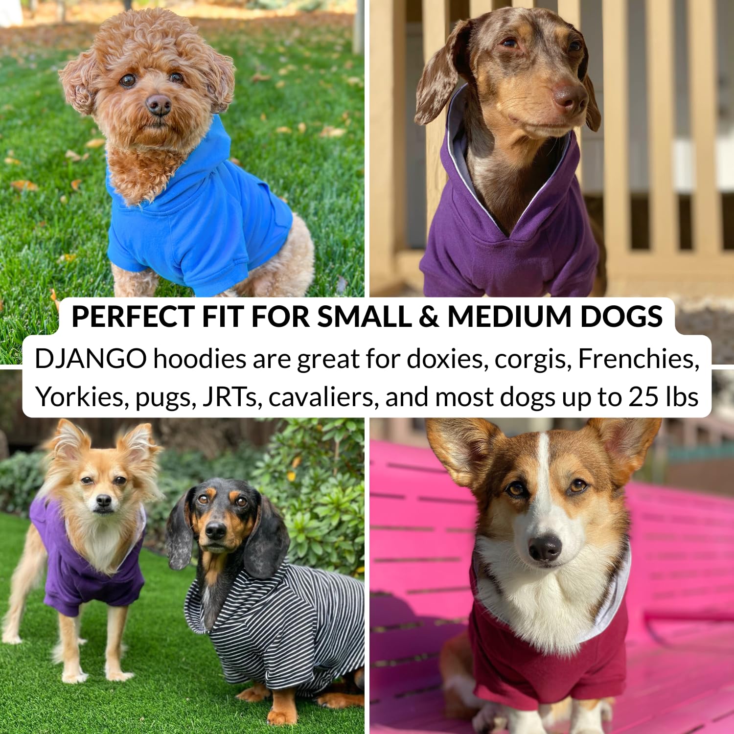 DJANGO dog hoodie machine-washable design supports daily wear