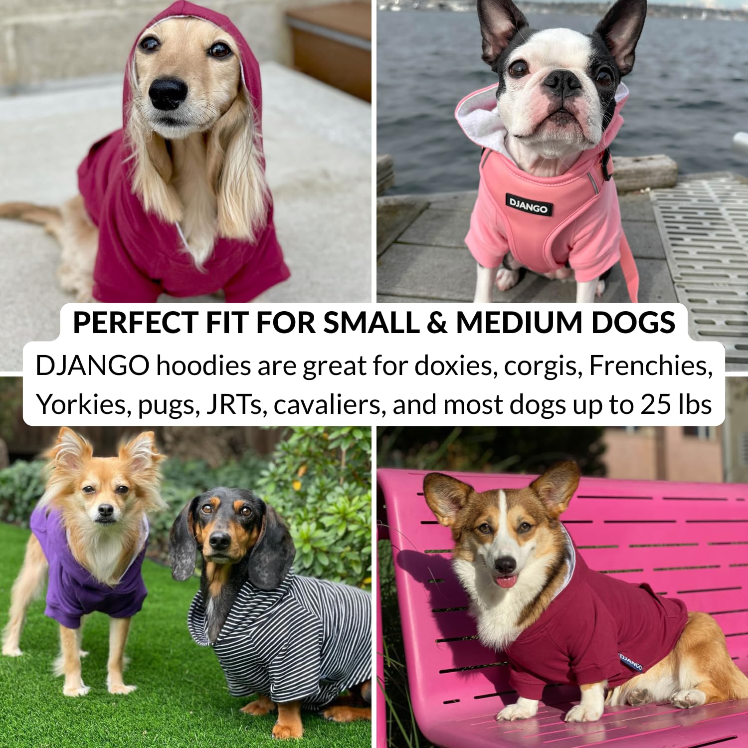 DJANGO dog hoodie size range chart-ready image shows XS to M options.