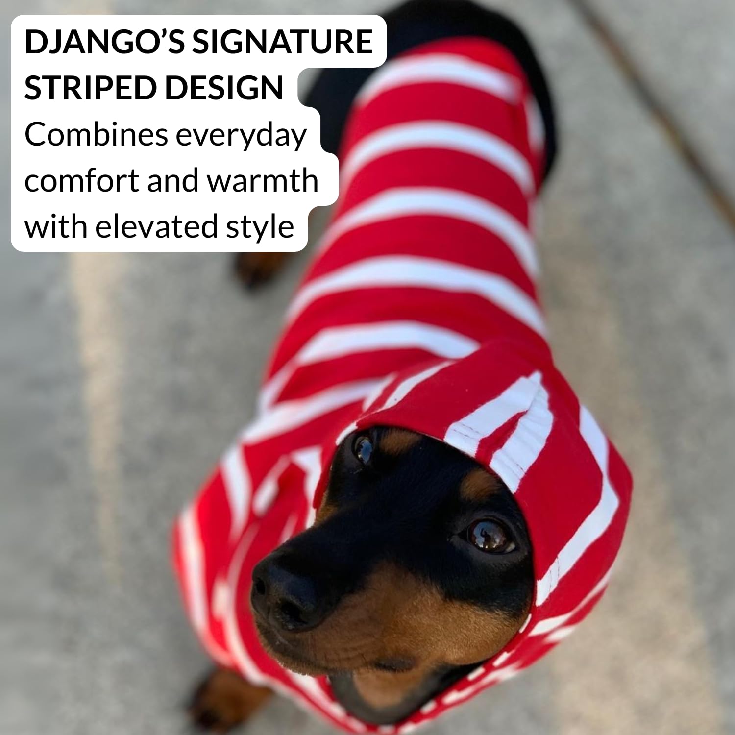 DJANGO Dog Hoodie belly cut helps keep messes contained during breaks.