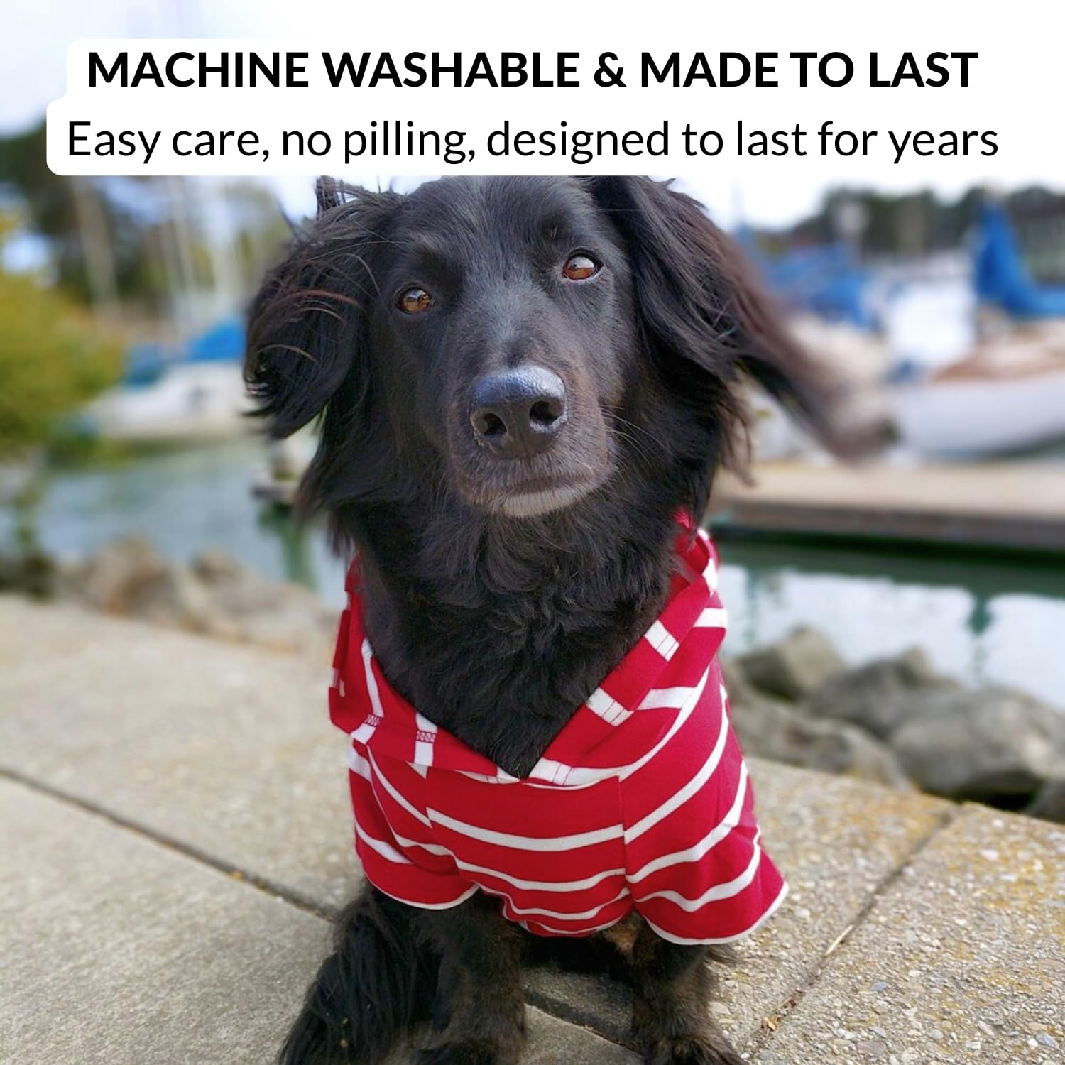 DJANGO Dog Hoodie sizes preview shows XS to M options for small breeds.