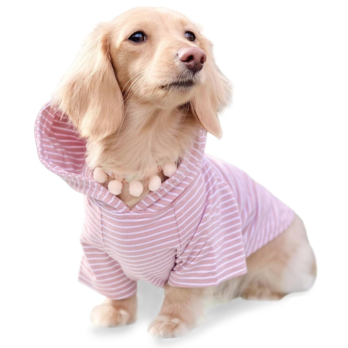 DJANGO dog hoodie in soft stretchy fabric for comfortable daily wear.