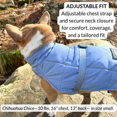 DJANGO dusk-blue harness-hole closeup demonstrates easy leash access without removing the coat
