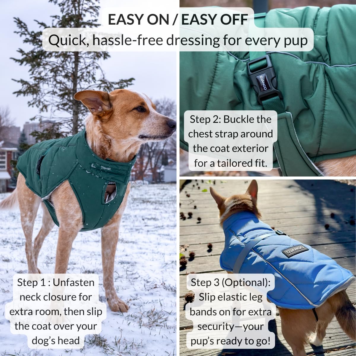 DJANGO dusk-blue jacket on a large dog during hike shows versatile winter protection