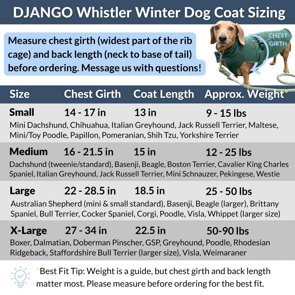 DJANGO reflective piping at night enhances visibility during evening strolls