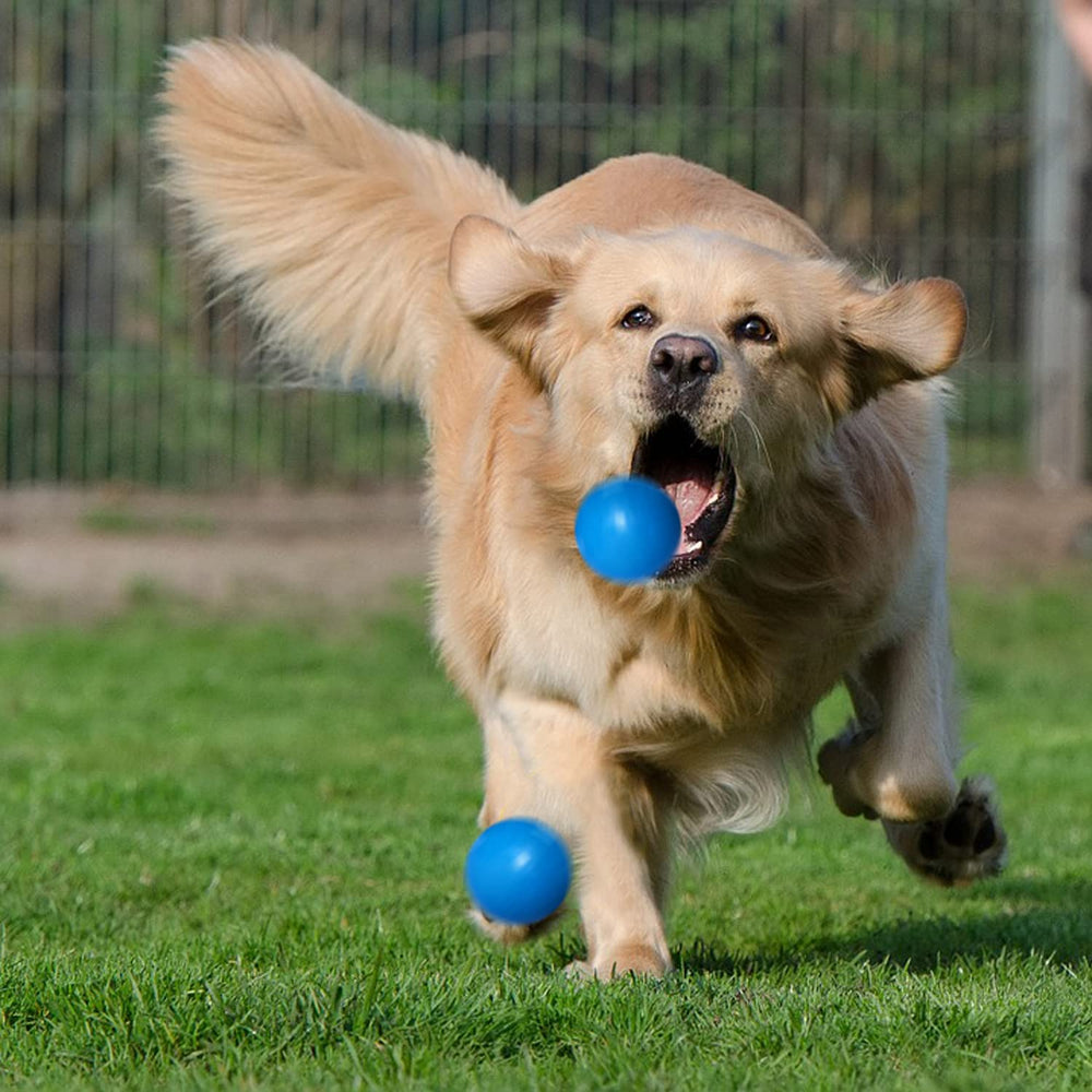 DLDER bright blue durable ball stands out for quick visibility during fetch.