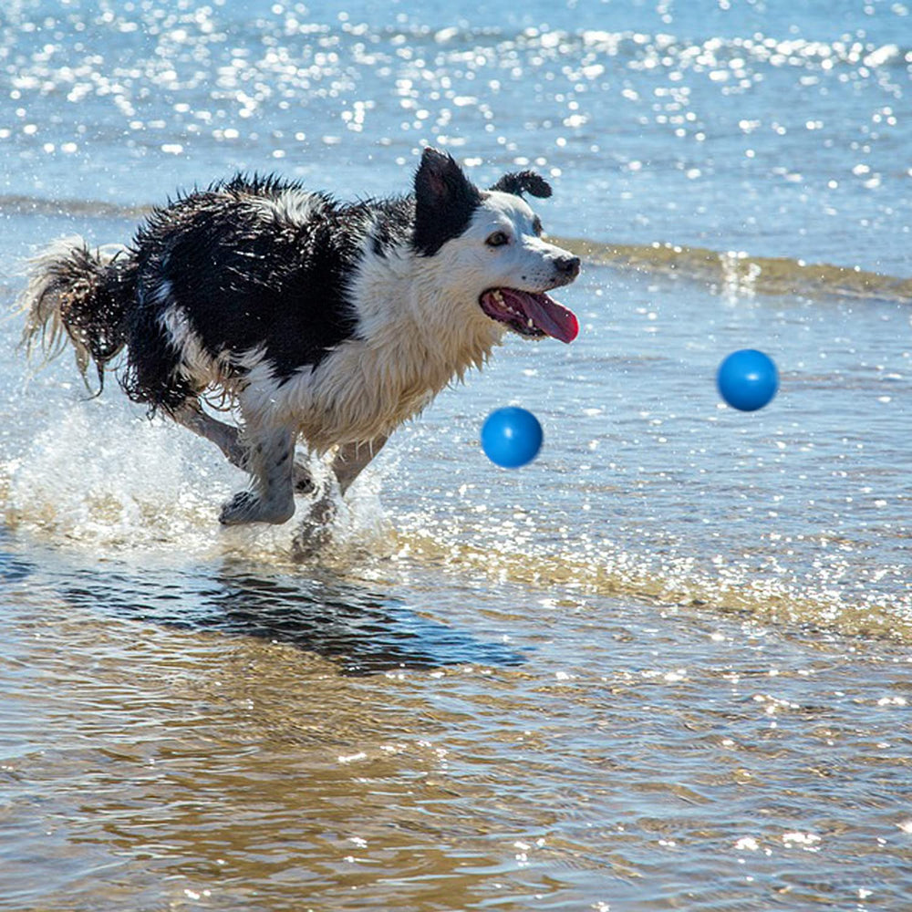 DLDER ball designed for medium and large dogs during training and exercise.