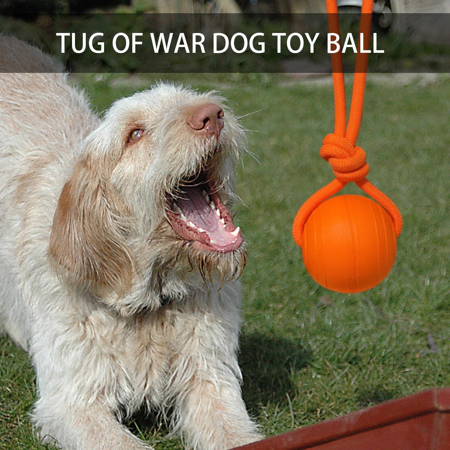 DLDER supervised-play durable dog toy encourages safe, interactive fun.