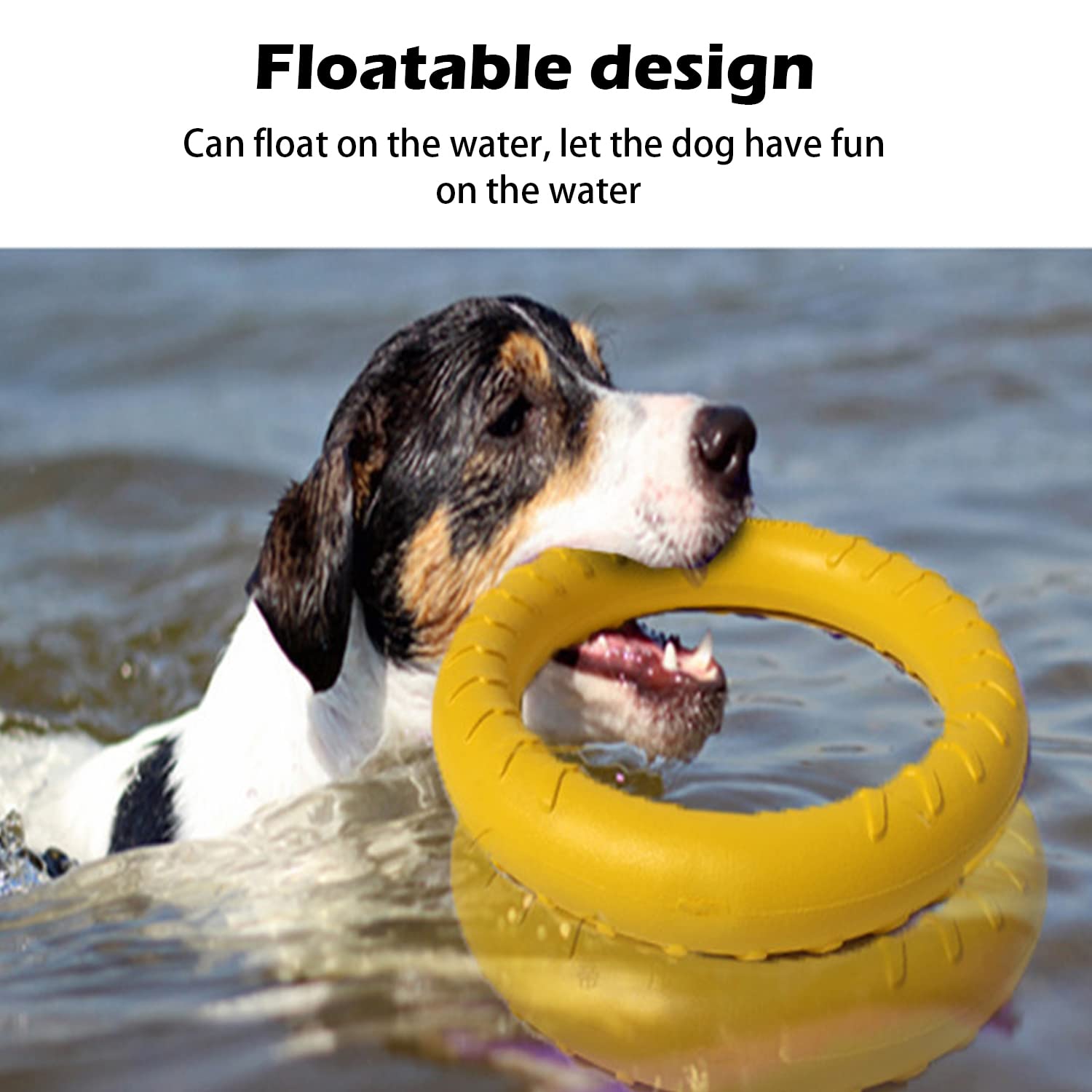 DLDER XL durable dog toy for training and focused play sessions.
