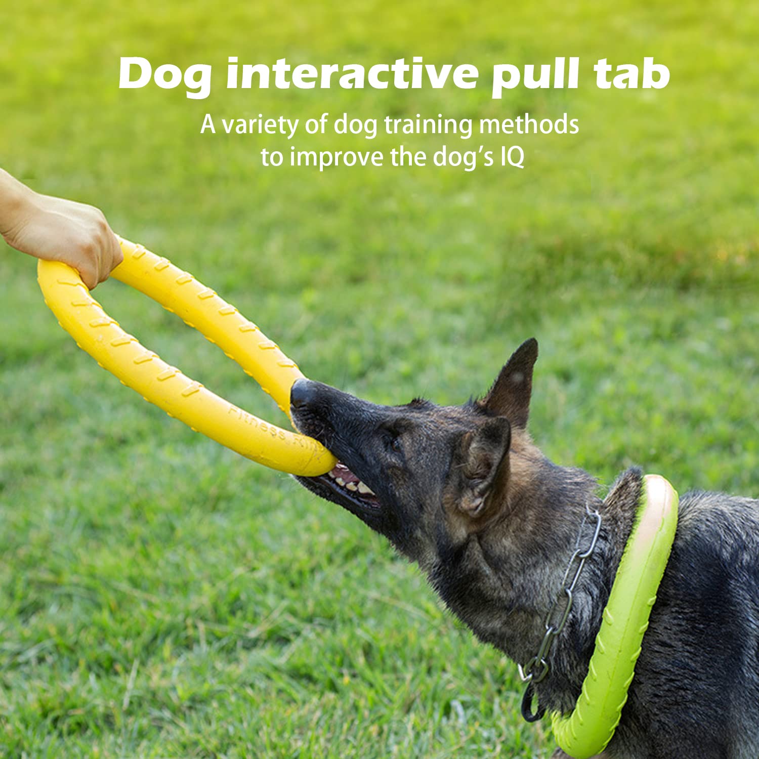DLDER XL floating dog toy disc stays visible on water for outdoor play.