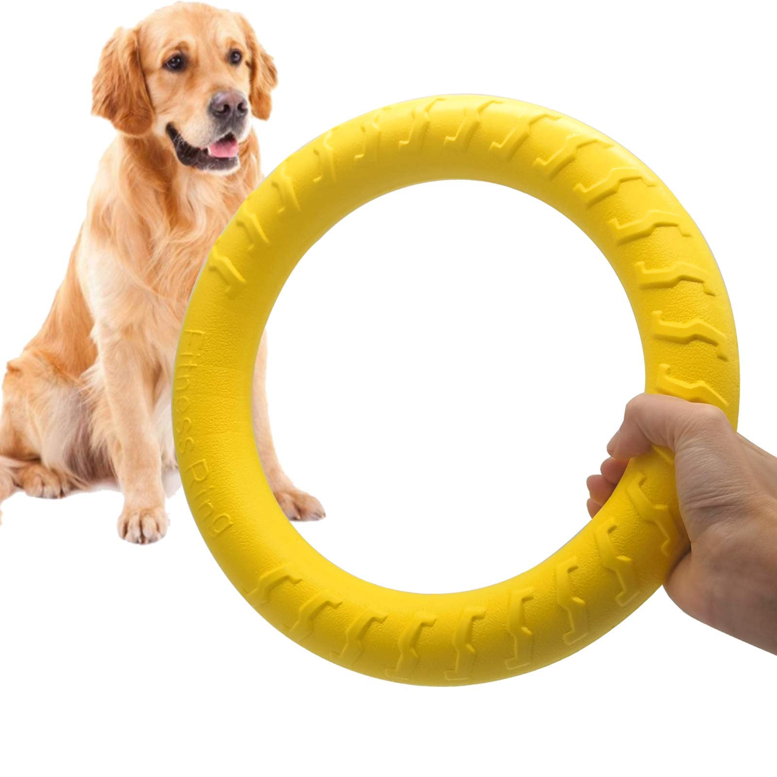 DLDER XL indestructible dog toy disc for long throws and water fun.