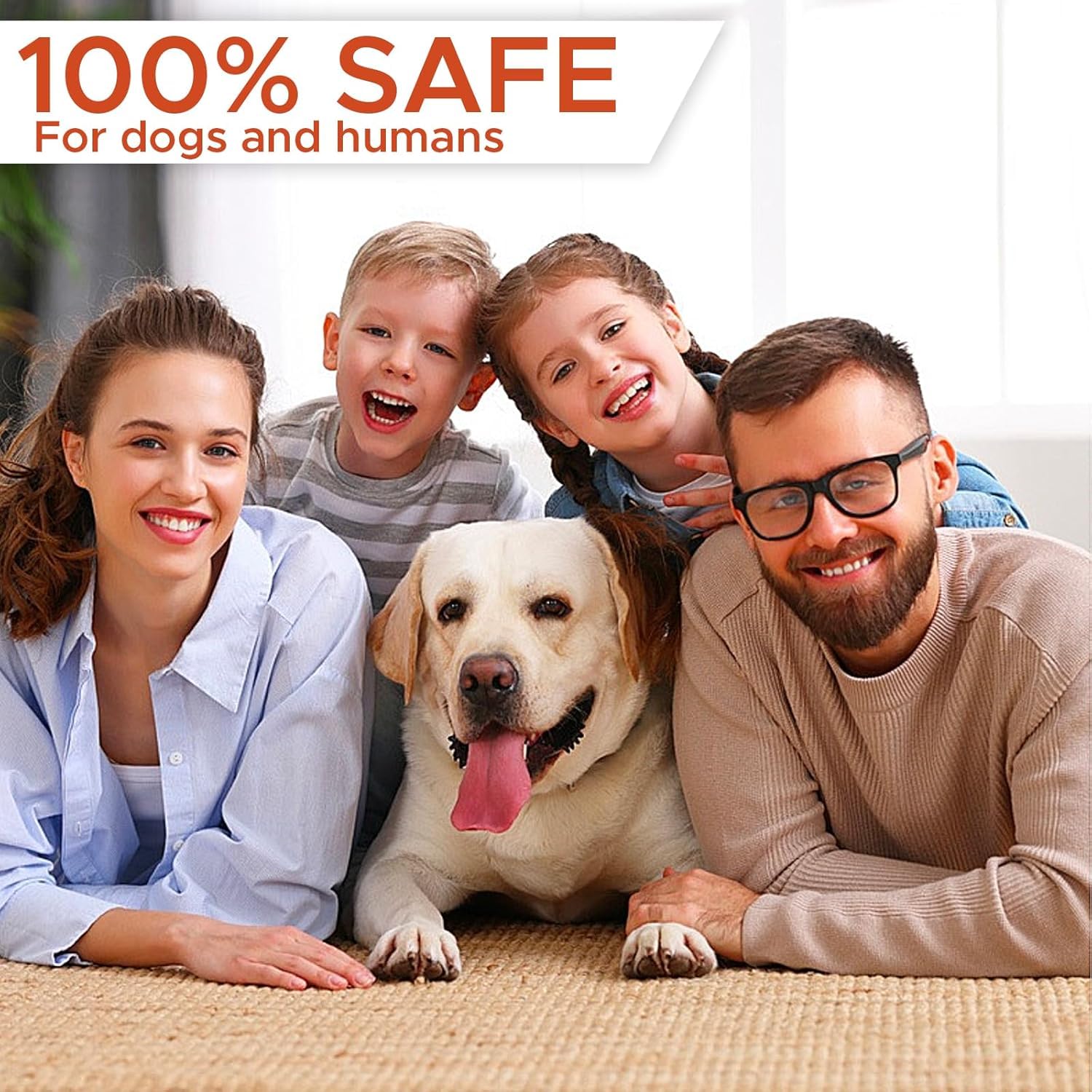 Dliben safe training device used outdoors on dogs of all sizes.