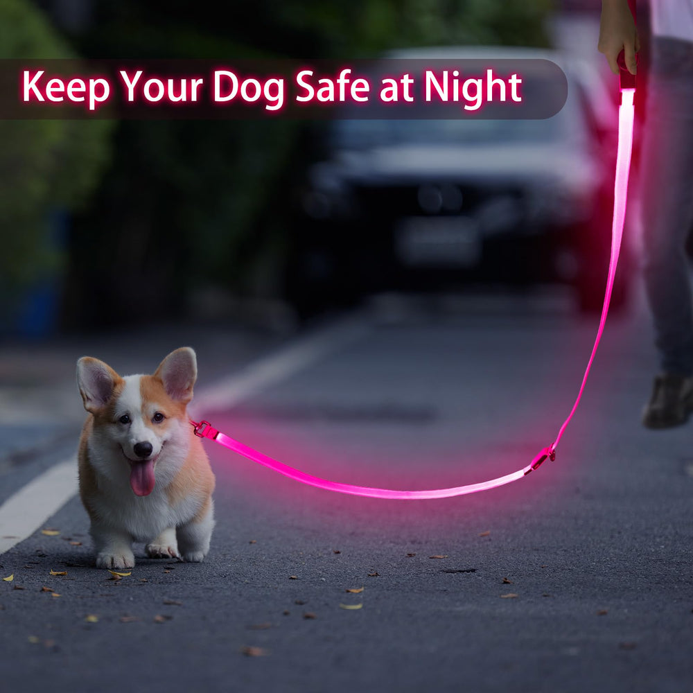 Dlitk LED leash pairs with collar for enhanced nighttime visibility