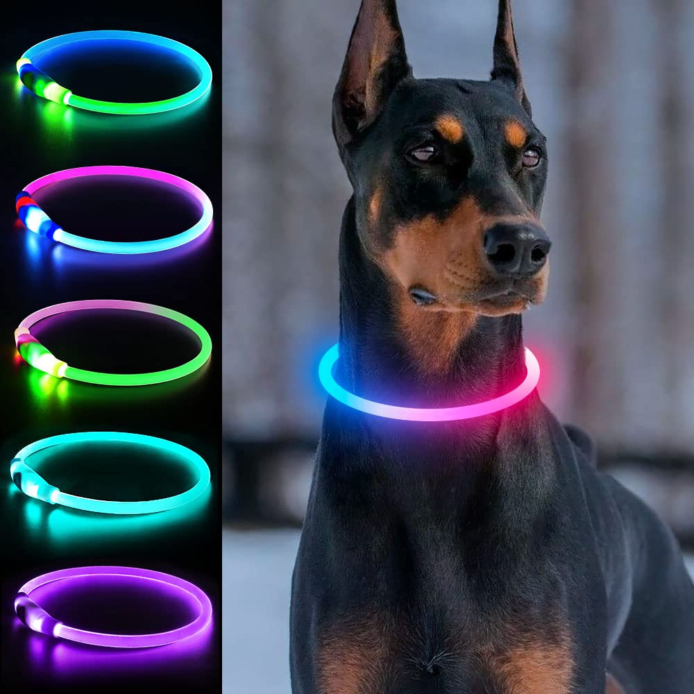 Dlitk light-up dog collar with blue-pink glow improves nighttime visibility