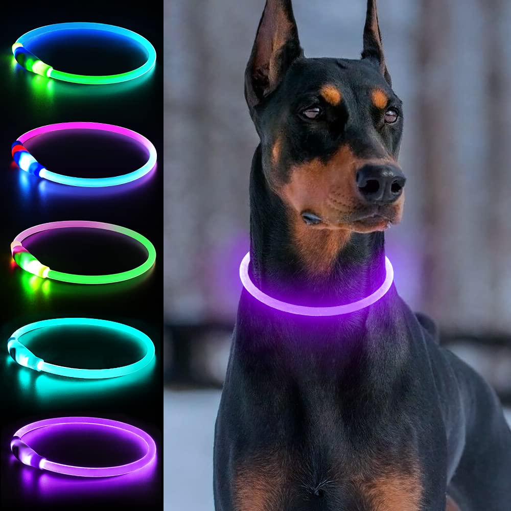 Dlitk light-up dog collar glows for improved nighttime visibility.