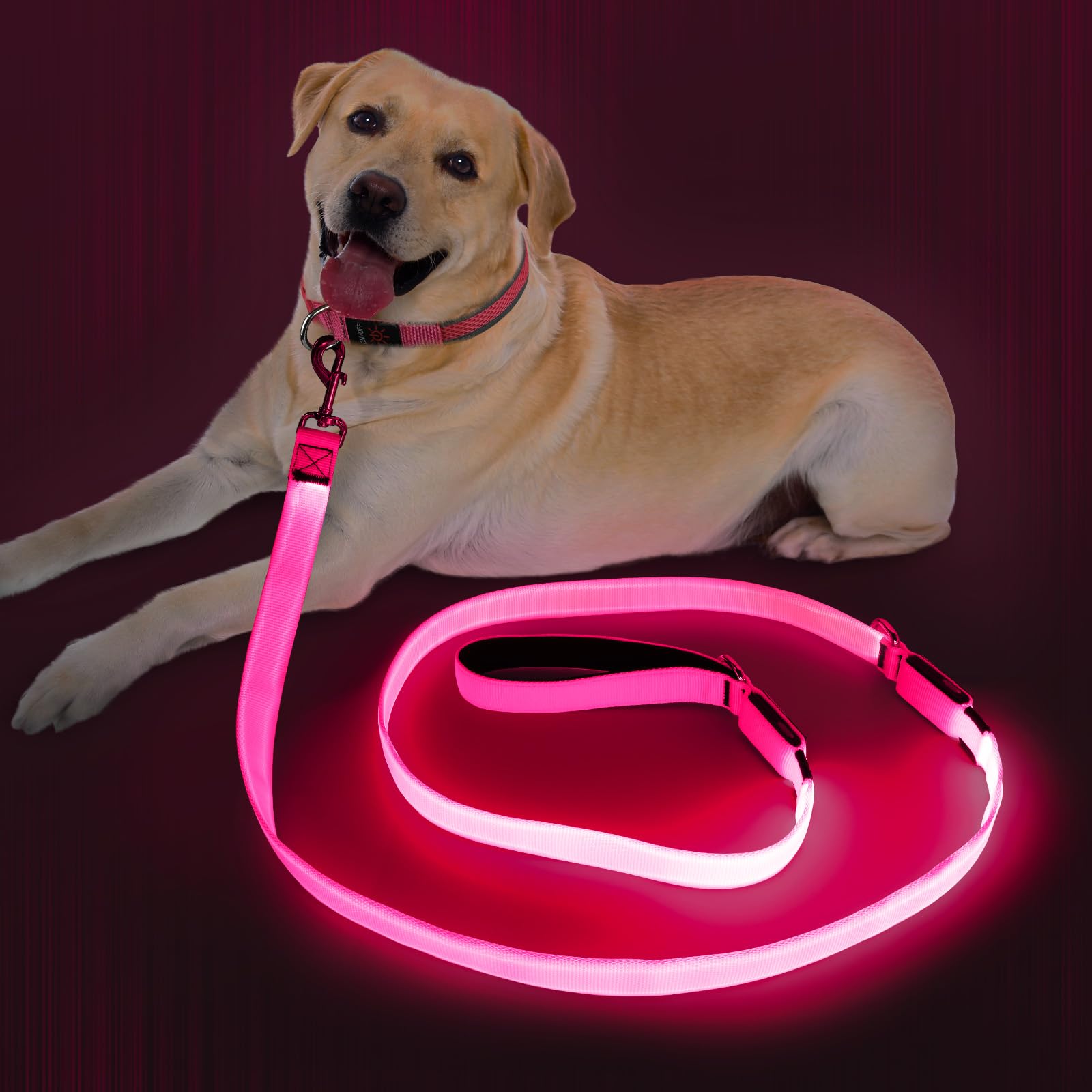 Dlitk light-up dog leash pink glow enhances night visibility for walks