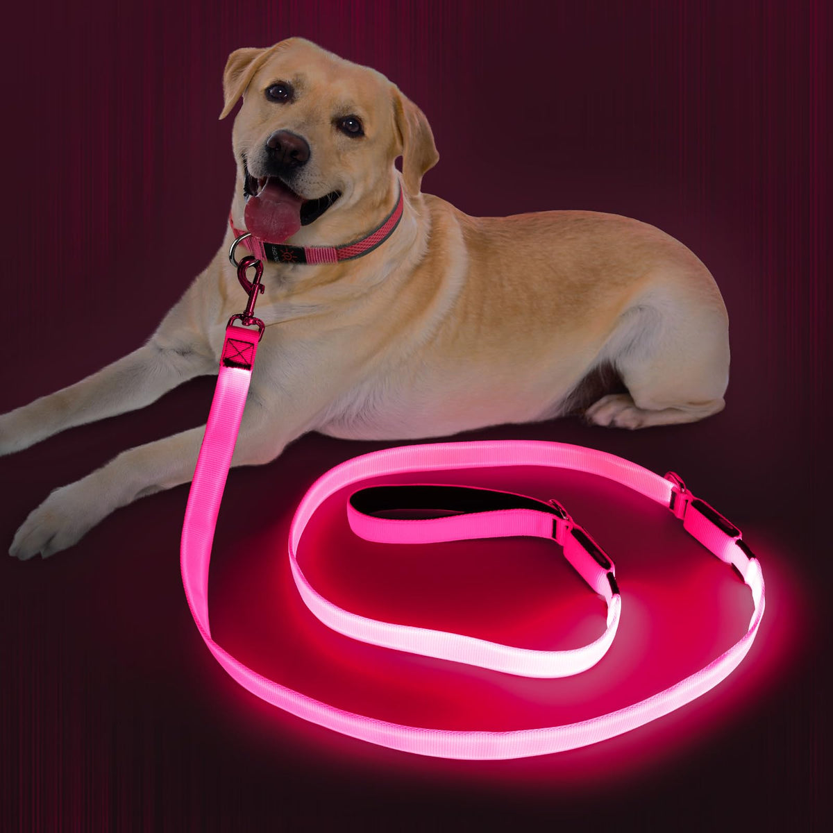 Dlitk light-up dog leash pink glow enhances night visibility for walks