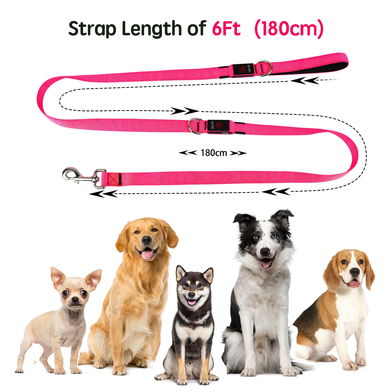 Dlitk night-walk leash shows 500-foot visibility for safer outings