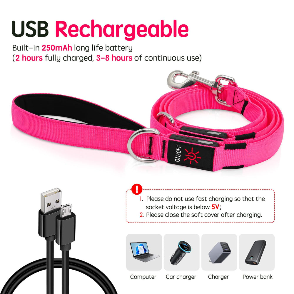 Dlitk nylon leash with padded handle provides comfortable grip for night walks