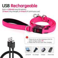 Dlitk nylon leash with padded handle provides comfortable grip for night walks