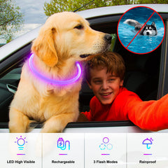 Dlitk TPU cuttable dog collar shows adjustable size for snug fit.