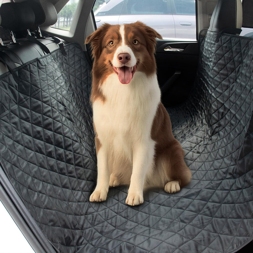 DMS PROTECTOR lifetime guarantee supports replacement or refund.