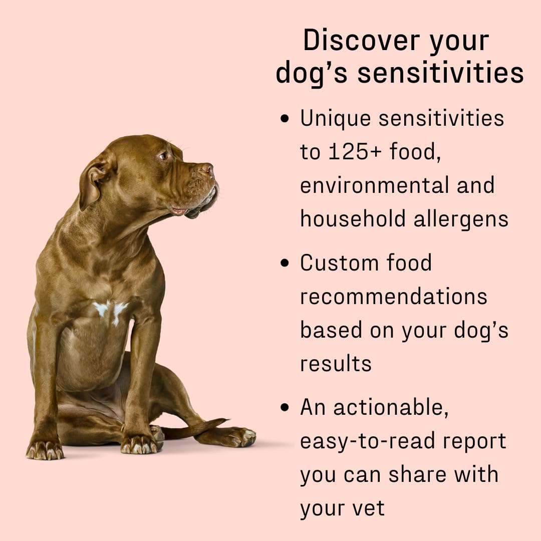 DNA MY DOG allergen chart highlights foods and environments