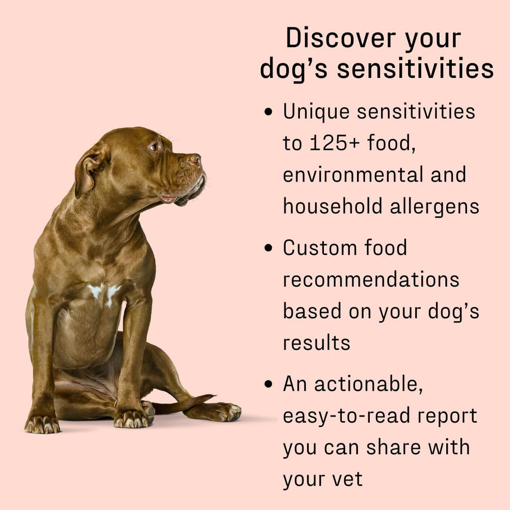 DNA MY DOG allergen chart highlights foods and environments