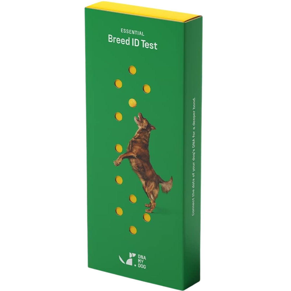 DNA My Dog cheek swab kit ready for at-home sample collection.