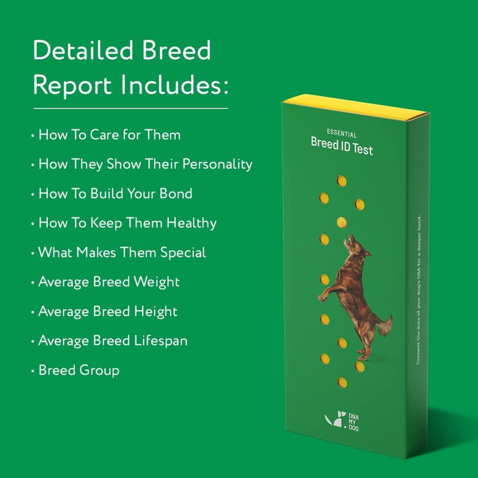 DNA My Dog downloadable certificate with breed composition details.
