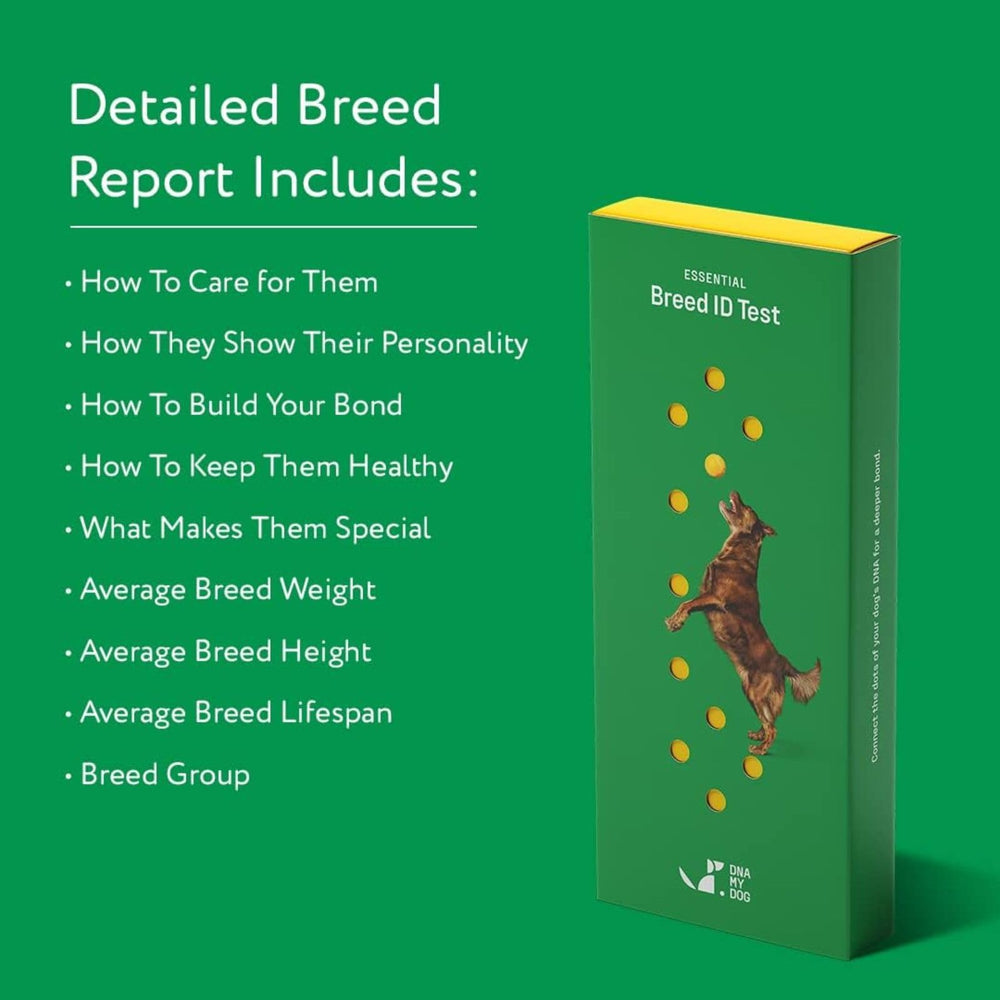 DNA My Dog downloadable certificate with breed composition details.