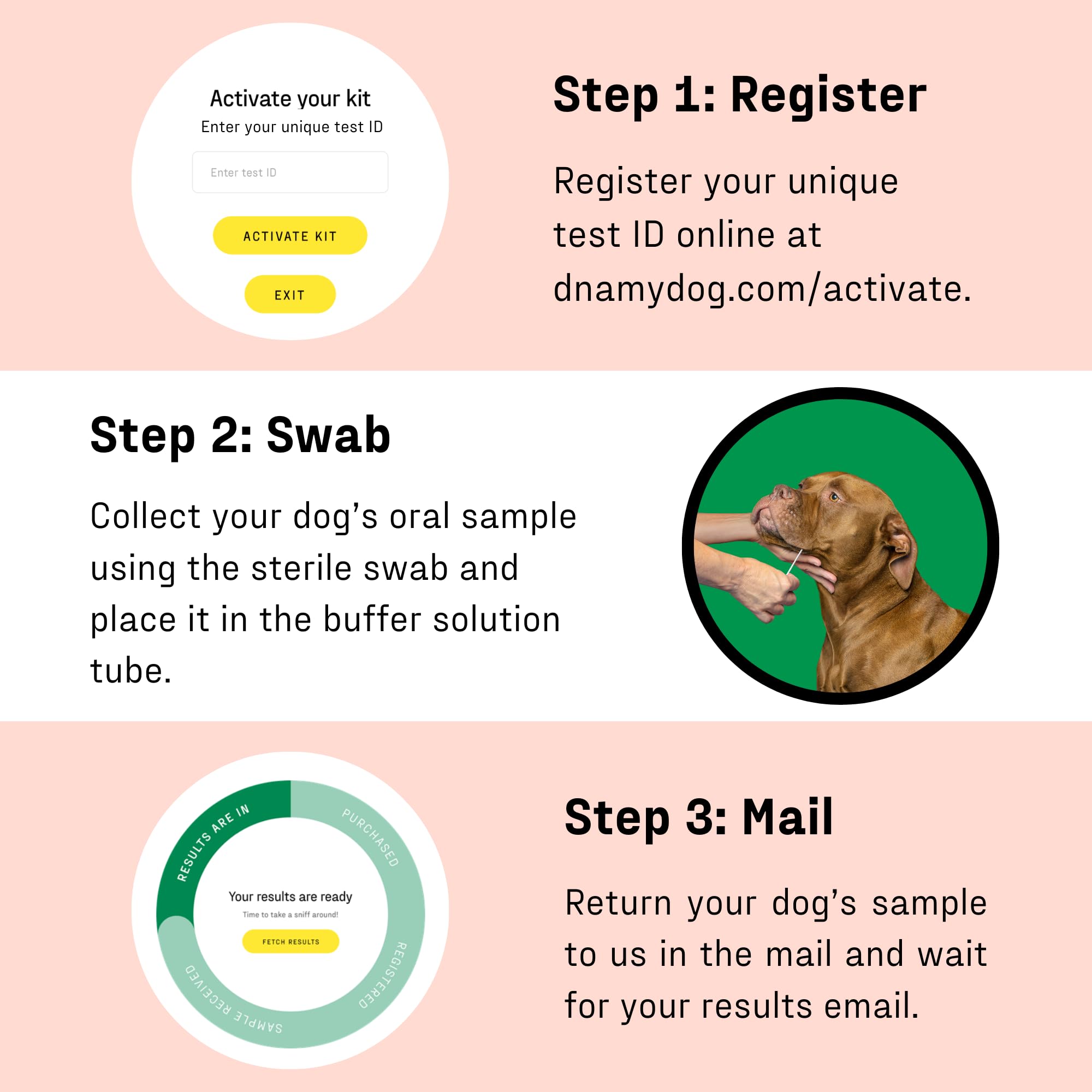 DNA MY DOG online report with clear allergen details