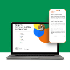 DNA My Dog online results dashboard showing breed breakdown and certificates.