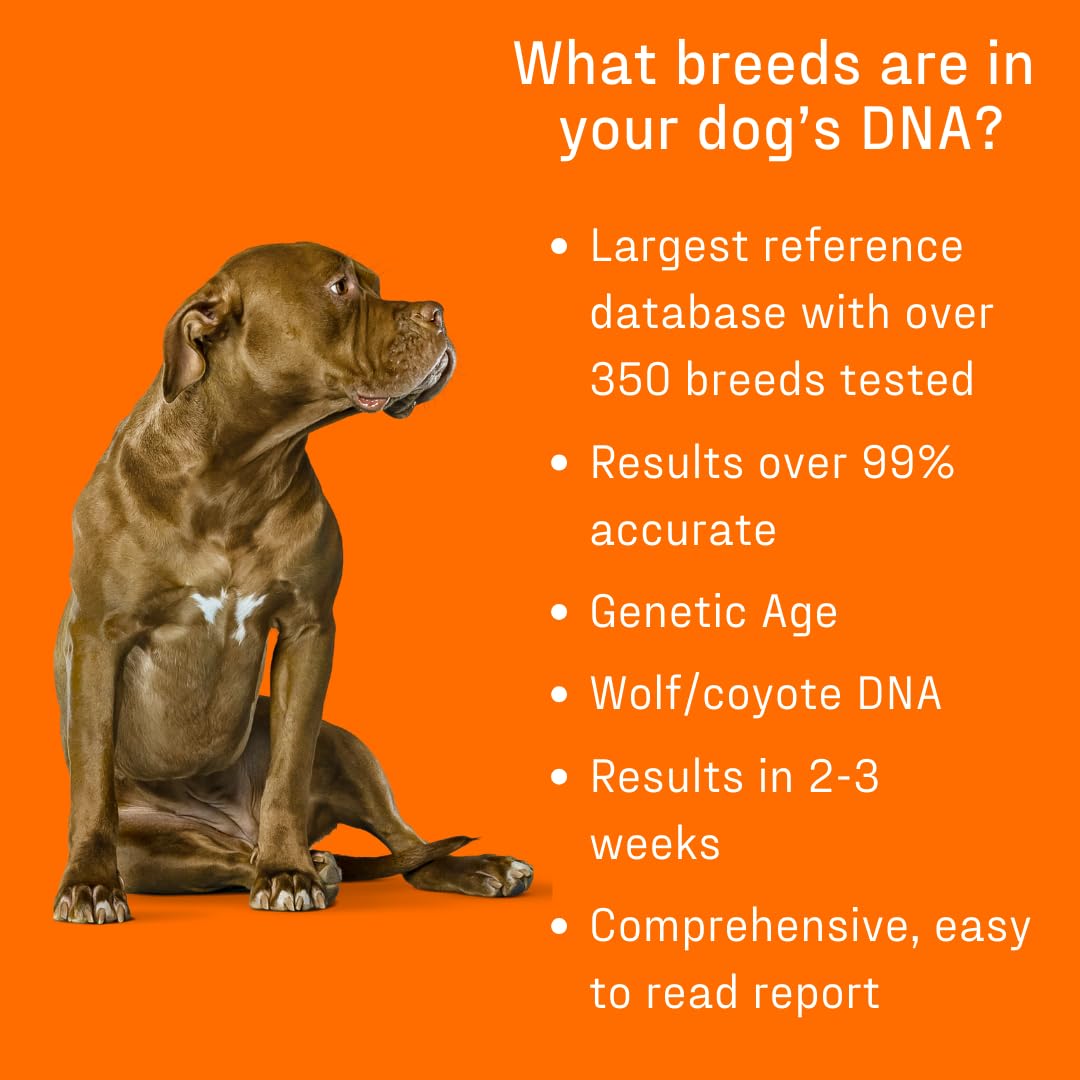 DNA MY DOG online results portal provides easy online access to your dog's data