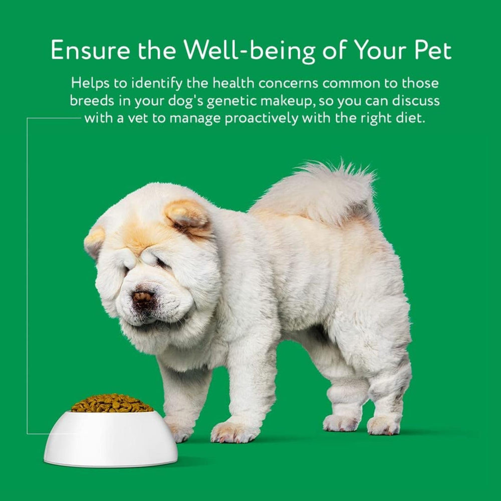 DNA My Dog personality training tips tailored to breed makeup.