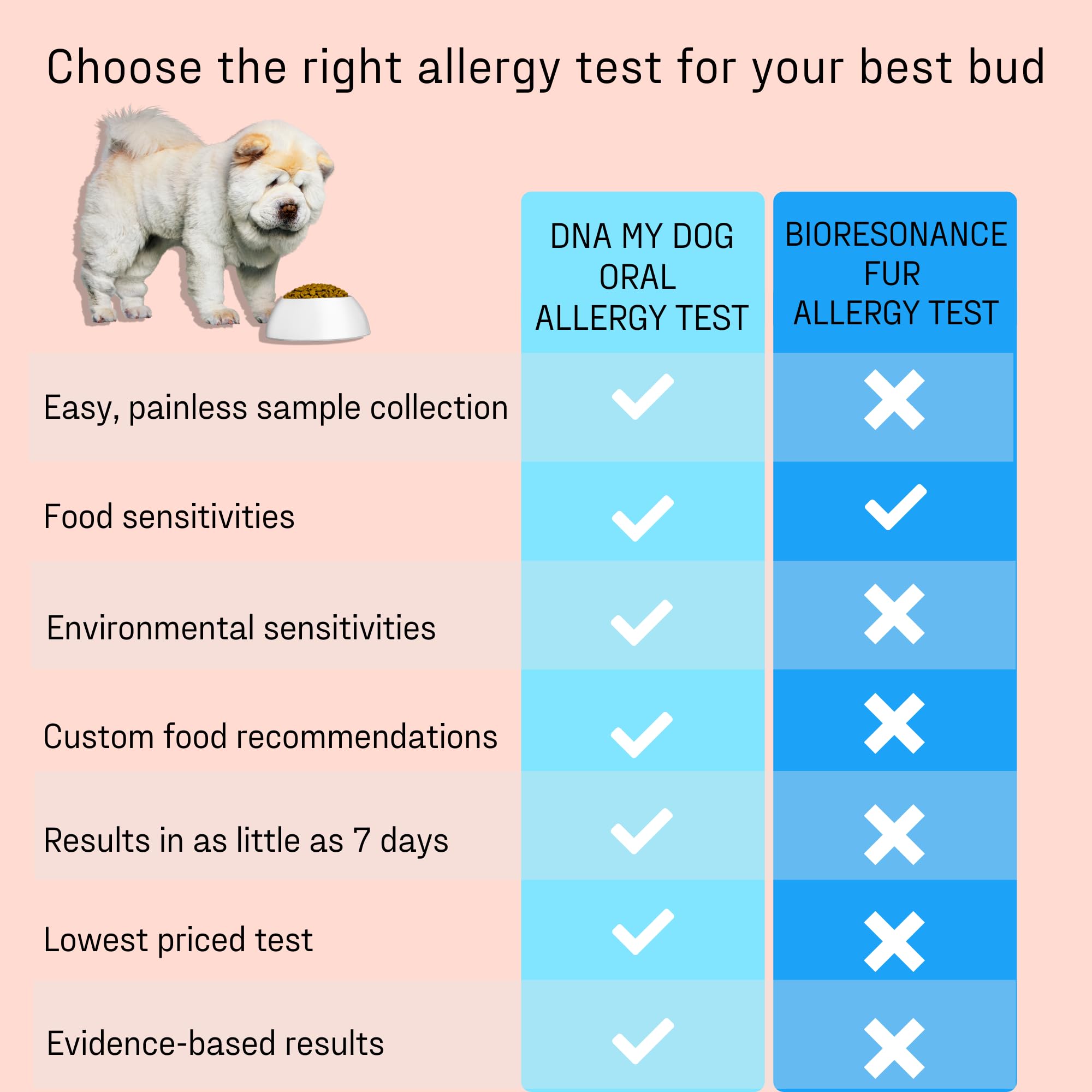 DNA MY DOG tailored care guidance to manage allergies