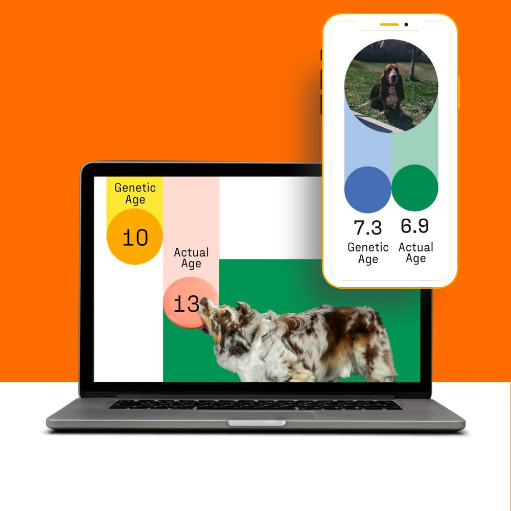 DNA MY DOG value and trust badge signals affordability and support