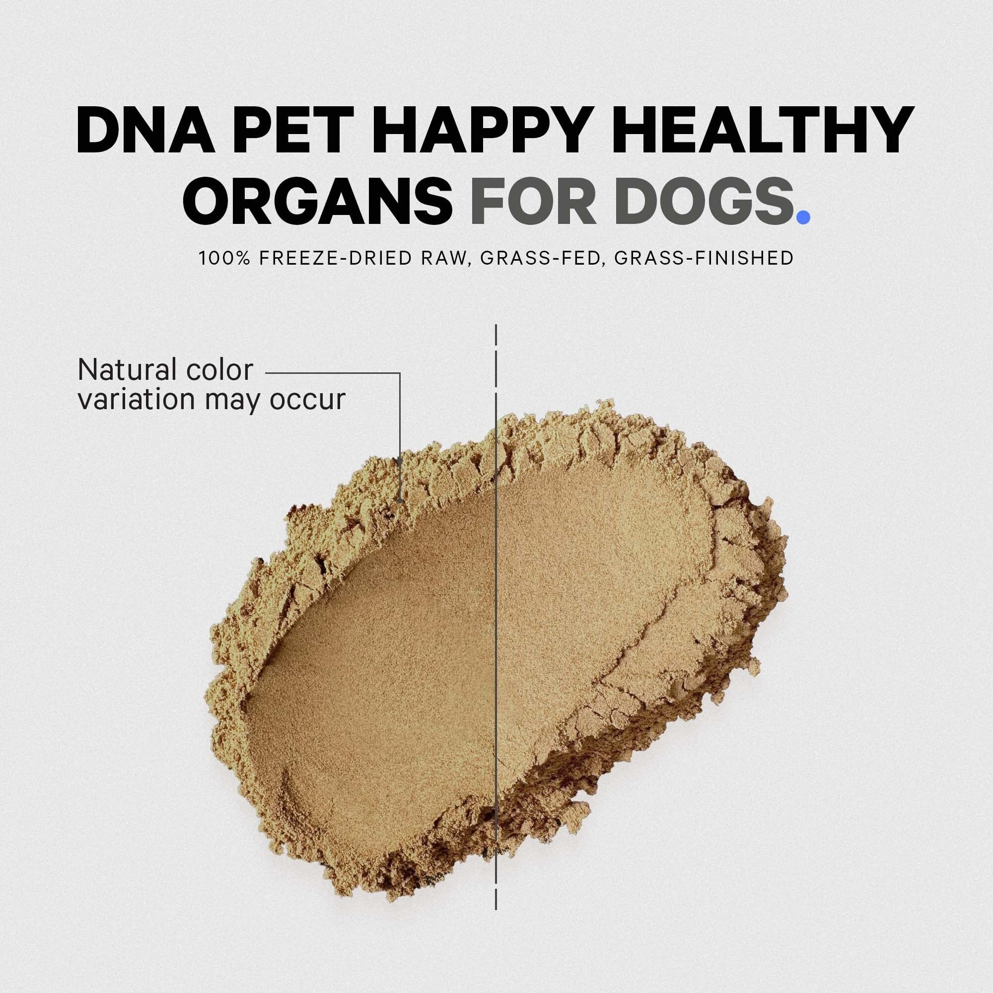 DNA PET dog-meal-mixing bowl scene demonstrates simple integration into daily meals.